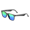 H0bbb84161c7841c98e9054e5cd1cadf9U.jpg_960x960q80-1.png VIVACLOTHER AI Translation Smart Glasses with Polarized Lenses